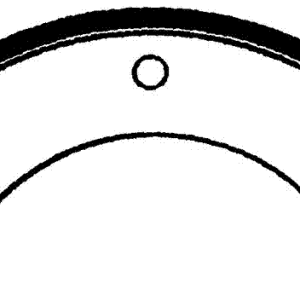 E1006 REBONDED BRAKE SHOE SET